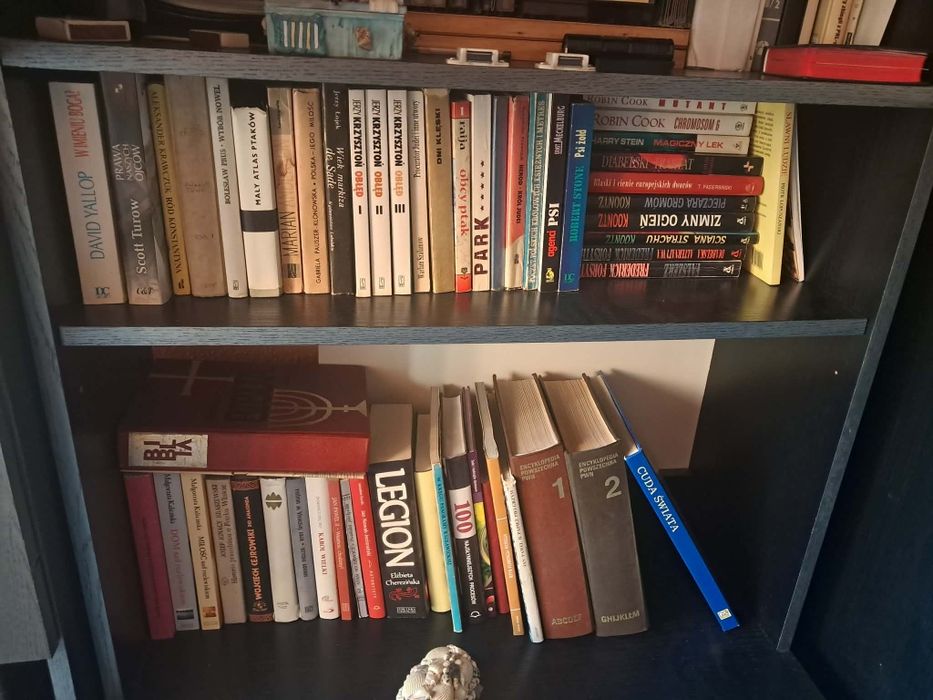 Książki różne dużo kryminałów po 2 zł