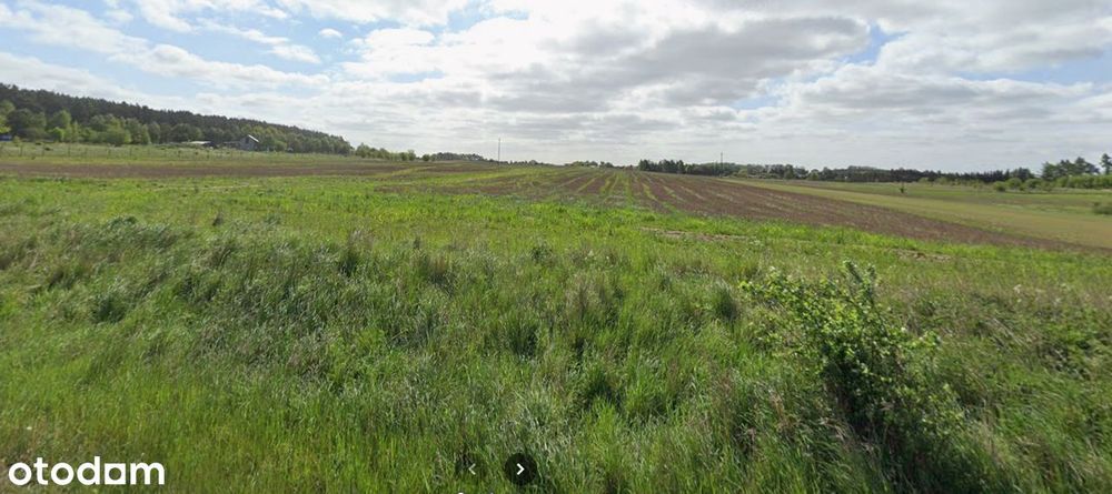 Działka Premium Kołczewo – 2 Km Od Morza | Uzbrojona | Mpzp | Okazja - Widok 3