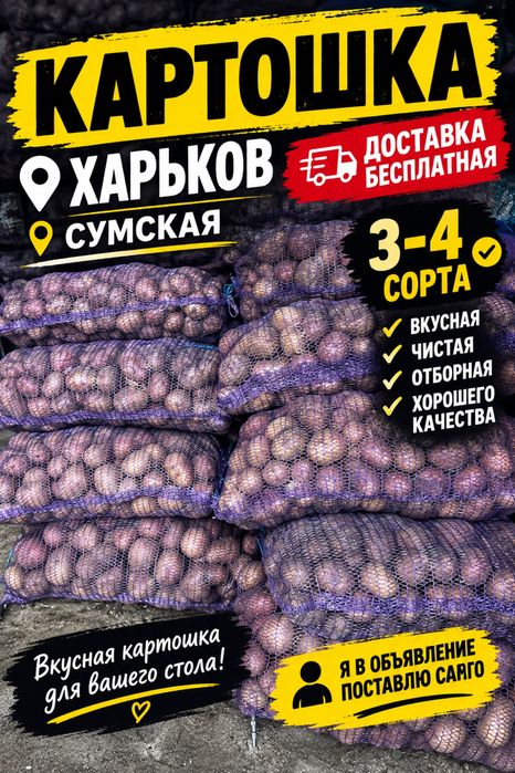 Продам картошку и Лук Сумская