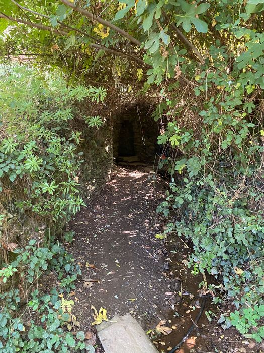 Vendo Quinta 7 hectares 3 Casas Litoral Alentejano