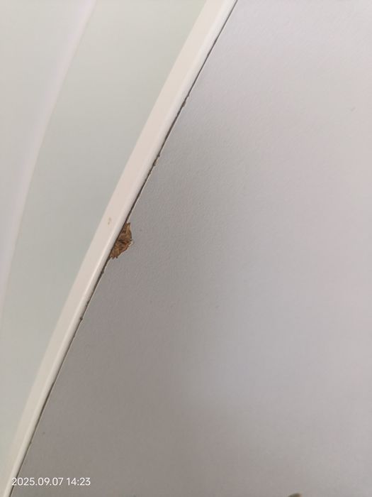 Двухъярусная кровать