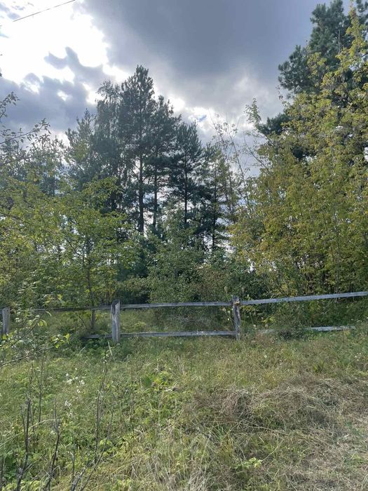 Будинок садиба біля лісу