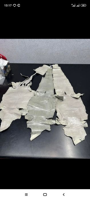 Кожа крокодила длина 70--80см