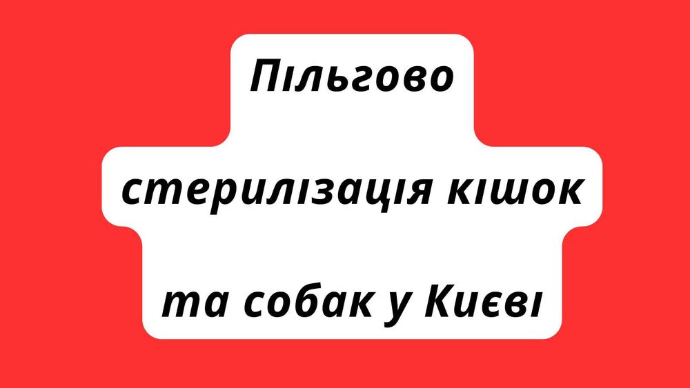Безкоштовна або пільгова стерилізація кішок та собак в Києві