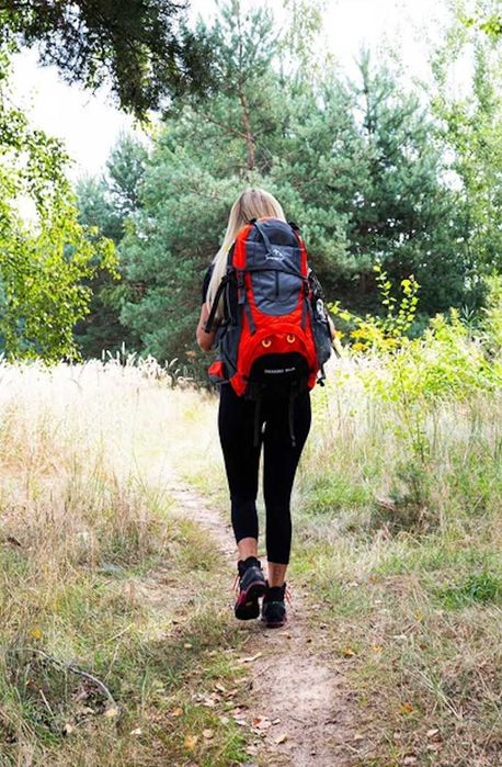 Mocny XXL Duży Plecak Turystyczny Trekkingowy 70L Męski Damski Górski