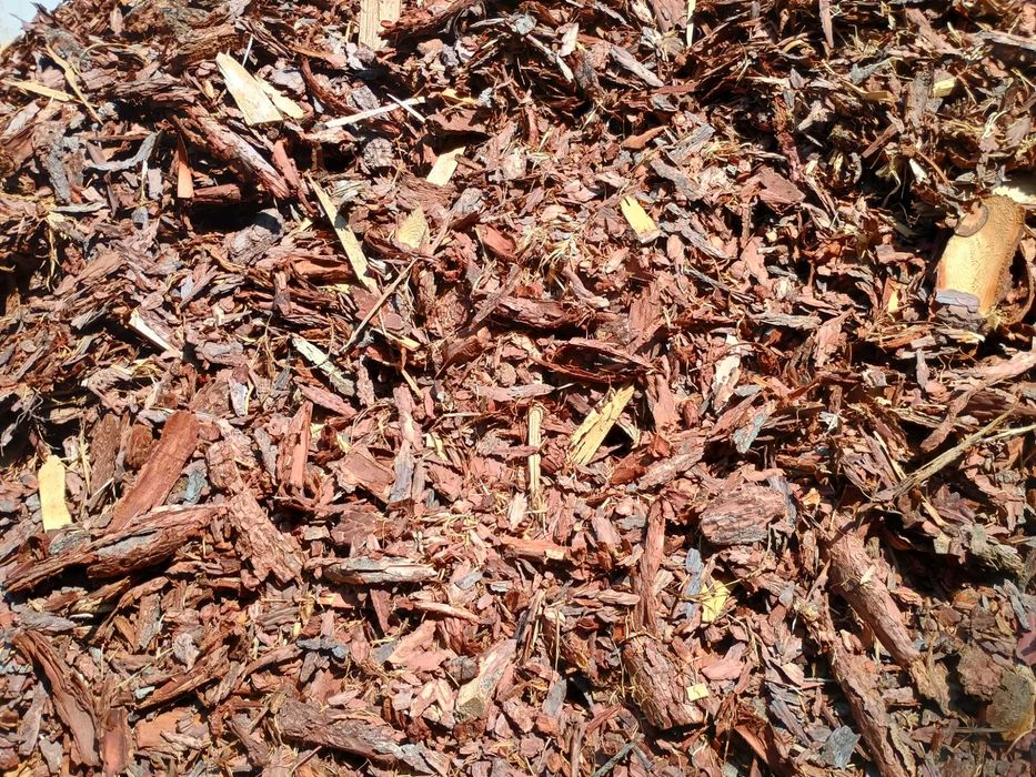 Kora Iglasta. Big-Bag. Worek. Transport Ciężarowy.