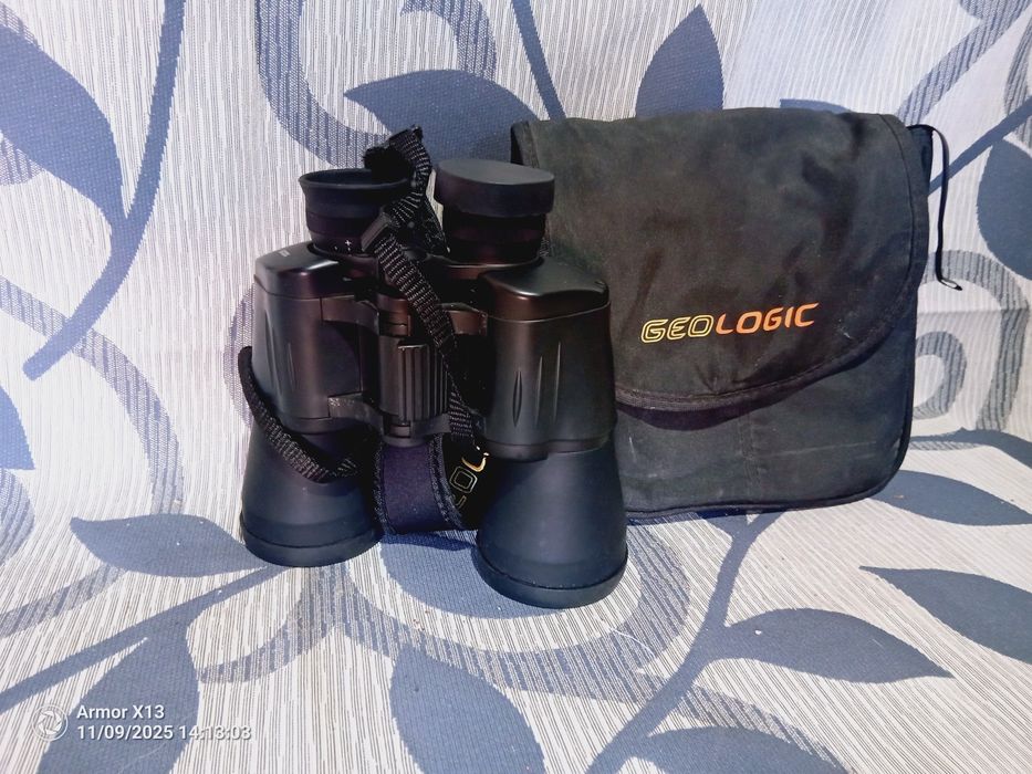 Vários artigos vintage