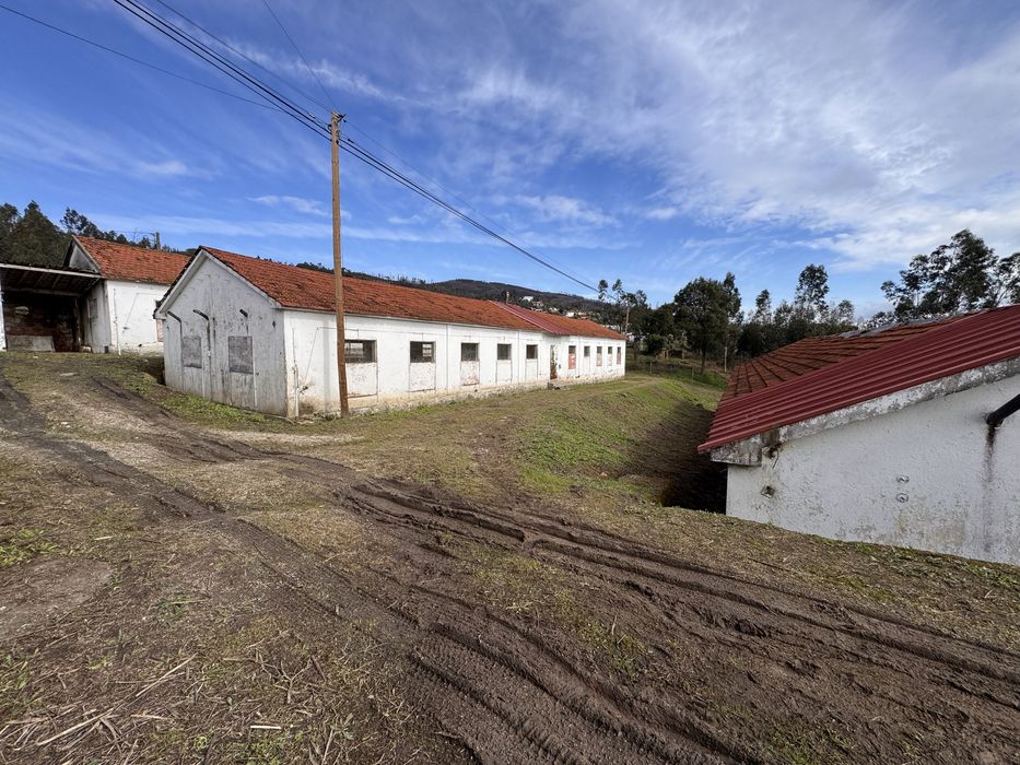 Venda de Armazéns Industriais e Moradia em Codeçoso (Celorico de Basto