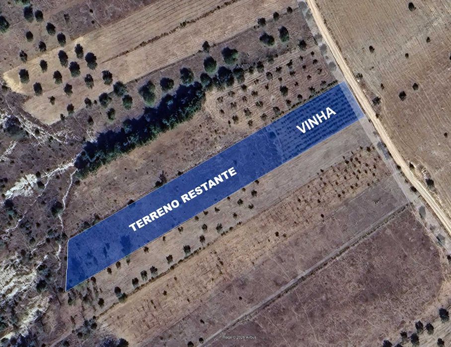 Vinha com Terreno Agrícola