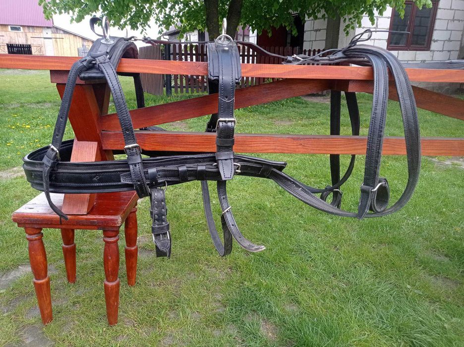 Uprząż szory dla konia hucuł małopolski