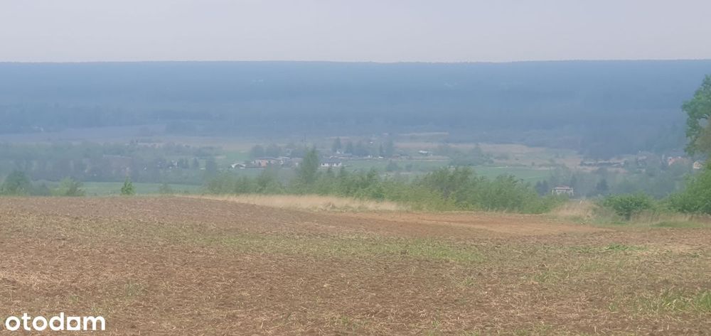 Syndyk sprzeda udział 1/9 - działki Udziców