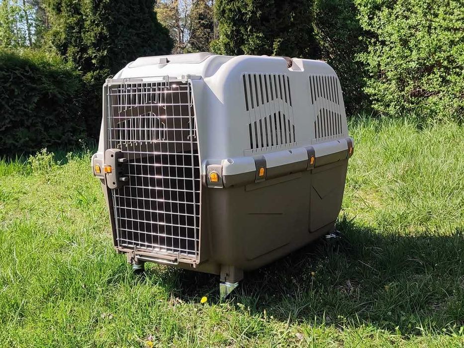 Transporter IATA Skudo 6+ kółka