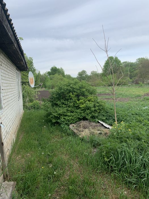Продаж дачної ділянки під дачу або забудову