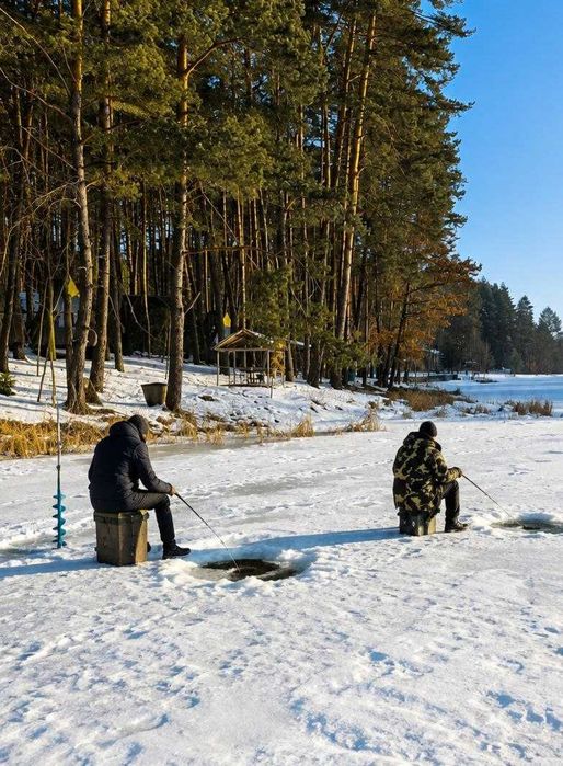 База відпочинку у сосновому лісі 50км від Львова