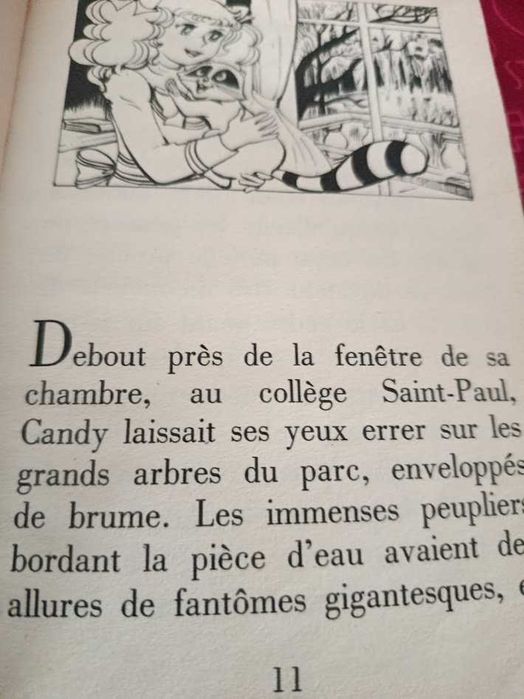 Candy méne l´enquête, illustrations de Jeanne Bazin, Bob Robert