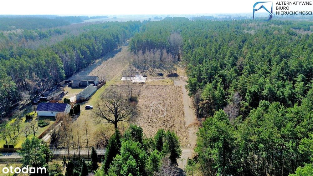 Działka w otulinie lasu - Stoczek
