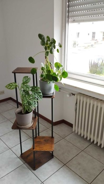 Kwietnik stojak regał na kwiaty rośliny 5 poziomów 105 cm nowy