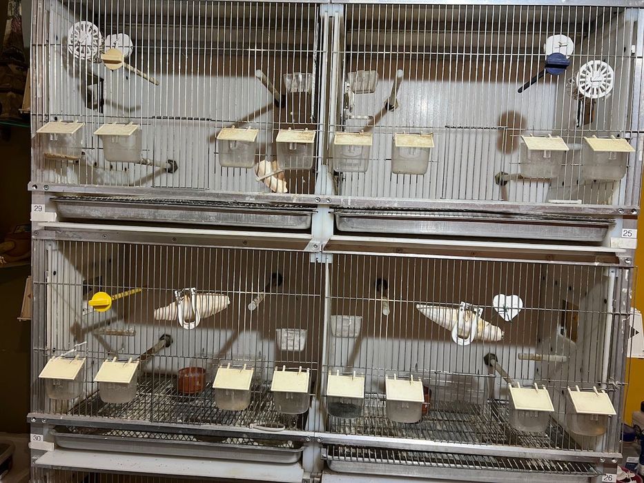 Regał lęgowy dla ptaków