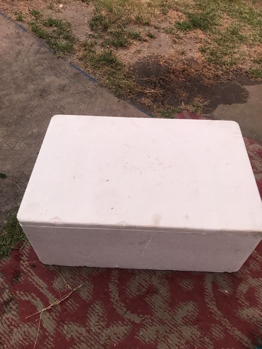 Продам пенопластовый ящик , термо бокс , ящик холодильник