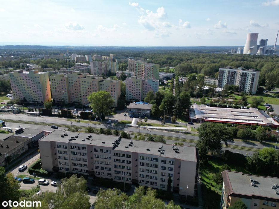 Zdjęcie 3