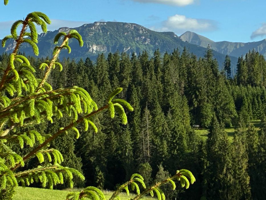 Domek z jacuzzi Zakopane | sauna | klimatyzacja | Tatry I Witów ITermy