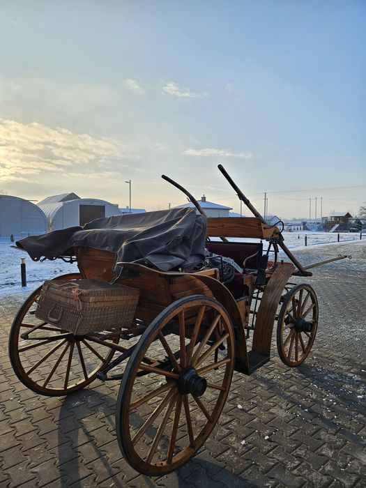 Bryczka na konia,  powóz konny