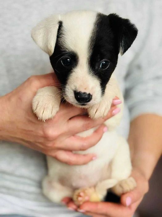 Манюня Брі шукає родину