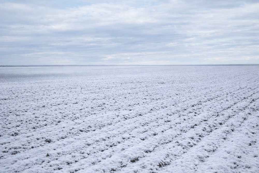 Продаж землі у Волинській обл. 10000 га.