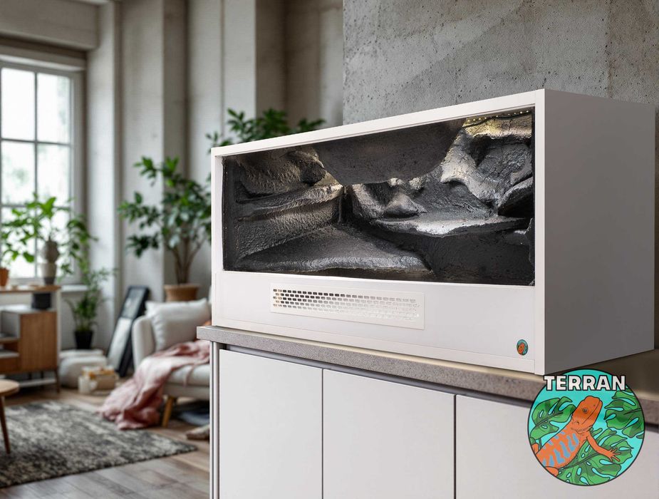 Terrarium 120x60x60 cm Anolis Gekon Agama wąż zbożowy