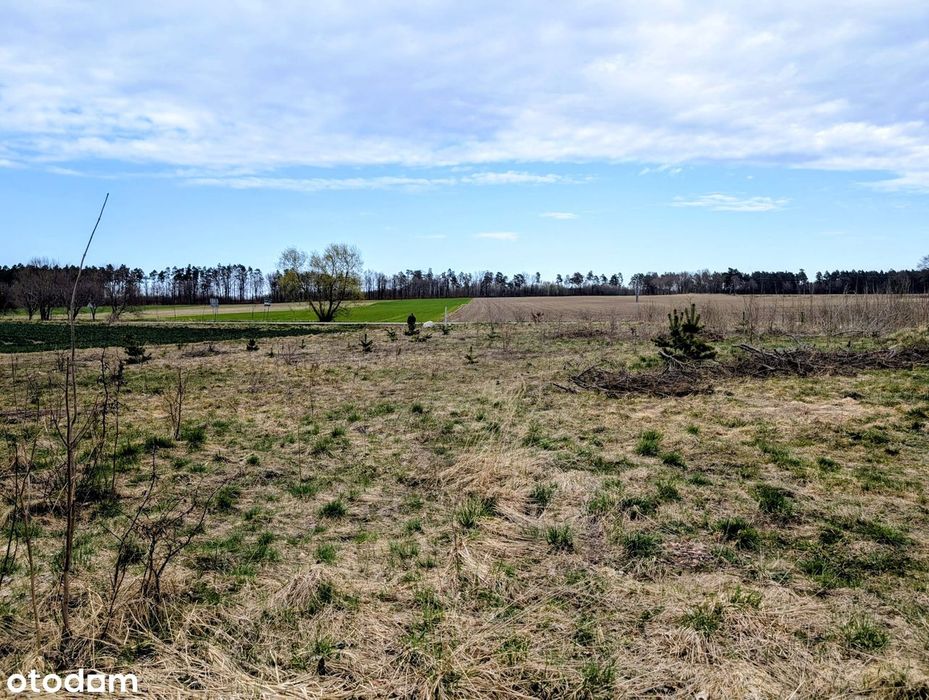2 atrakcyjne działki po 1600 m² w Redkowicach - Widok 3