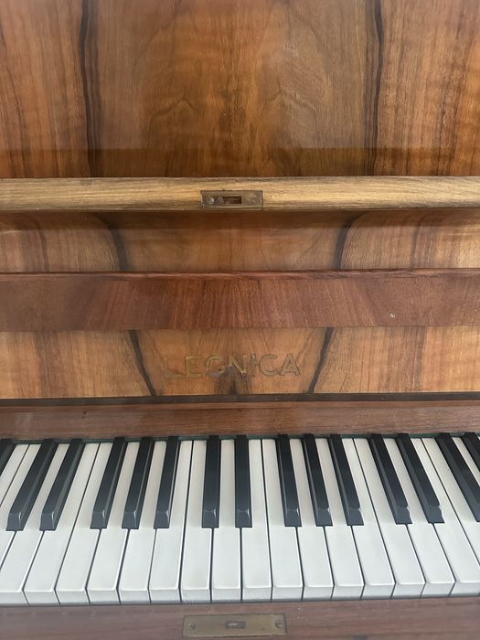 Pianino legnica