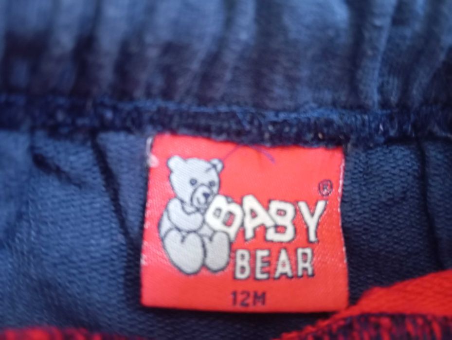 Saia - Baby Bear