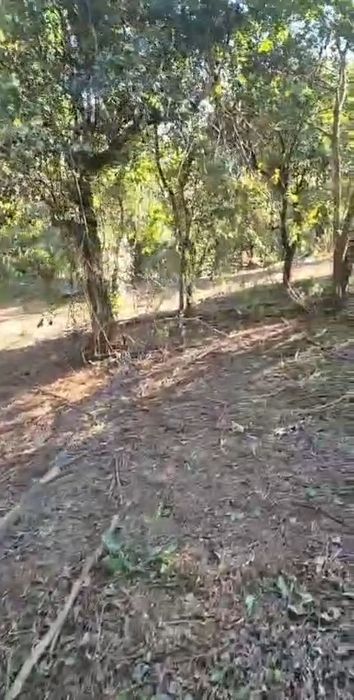 Terreno com casa em ruinas