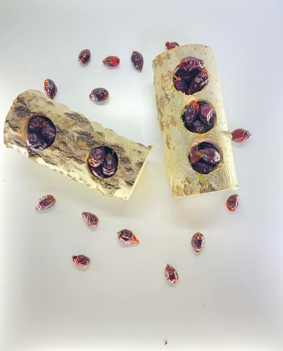 Ласощі та годівнички для папуг та гризунів. Лакомство и кормушки