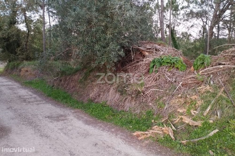 Terreno Rústico à Venda – Vila Nova de Anços 4.100m2
