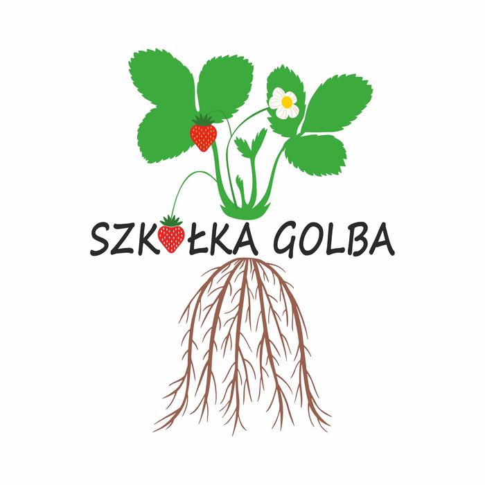 SZKÓŁKA sadzonek truskawek,( dotacje rachunek ) wysyłka od 100 s