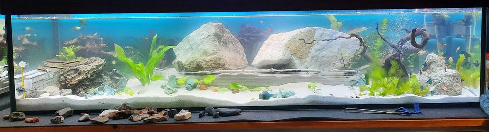 Akwarium 150cm długości, 210 litrów