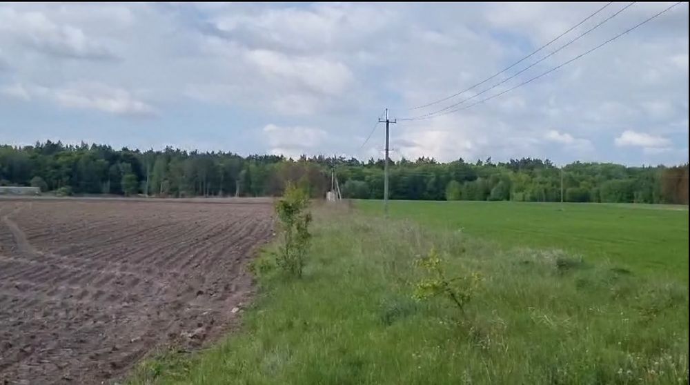 Продам 10 ГА в Жердова, Броварський рн