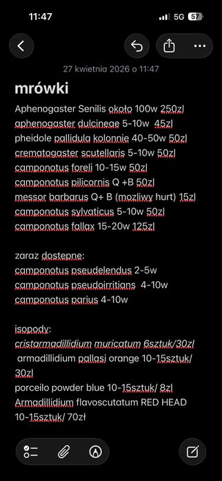 mrówki/isopody/pokarm dla mrowek