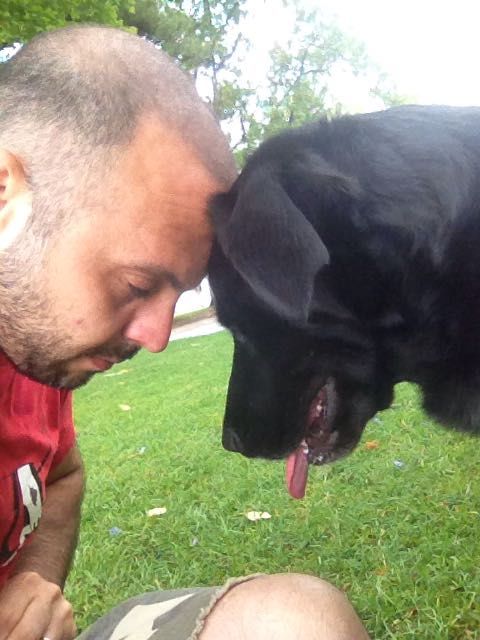 Passeio Amigo Lisboa - Estadia Familiar Canina - Dog Walker