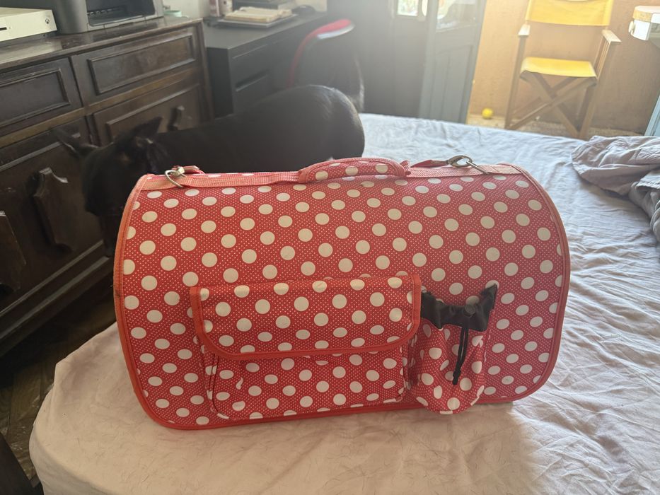 Bolsa para pet 50€