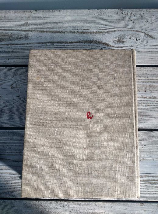 Książka: Literatura Polska, Przewodnik encyklopedyczny tom 2, PWN1985,