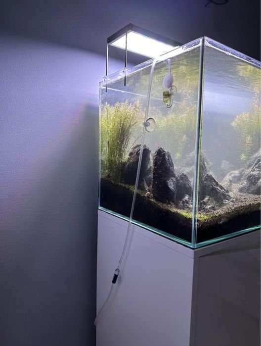 Aquário 60*40*40