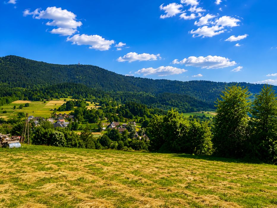 Kompleks działek 2,6 ha – południowy stok, panorama Tatr – Tenczyn