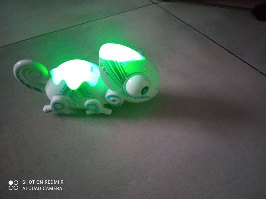 Kameleon interaktywny