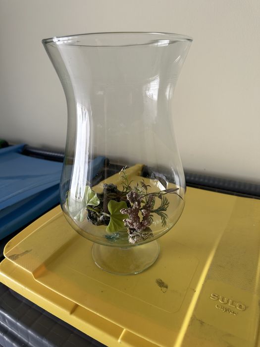 Aquário para peixes de água fria