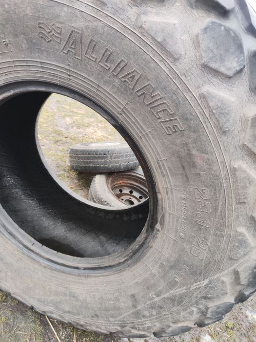 Opona 23.1-26 alliance