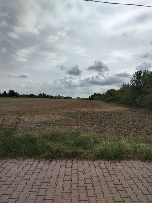 Sprzedam działkę  inwestycyjną.. jest w Rzgowie ul.Reja16631m mieszkan