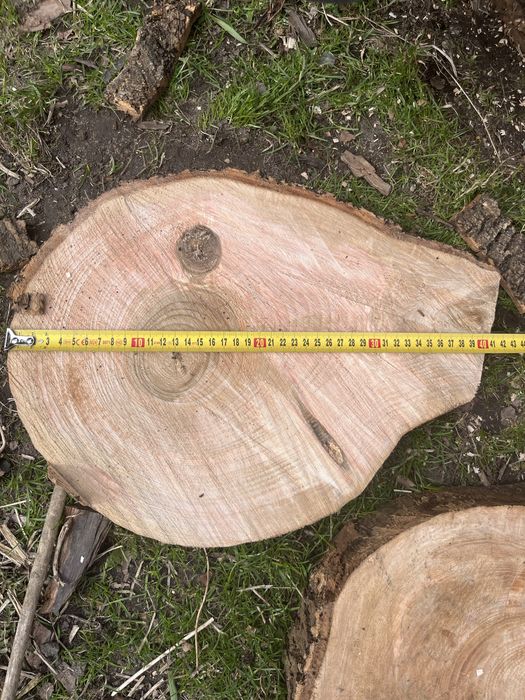 Sprzedam plastry drewna