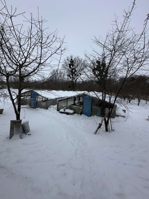 Продаж с. Завадівка, Білоцерк. Район, Сертифікати!